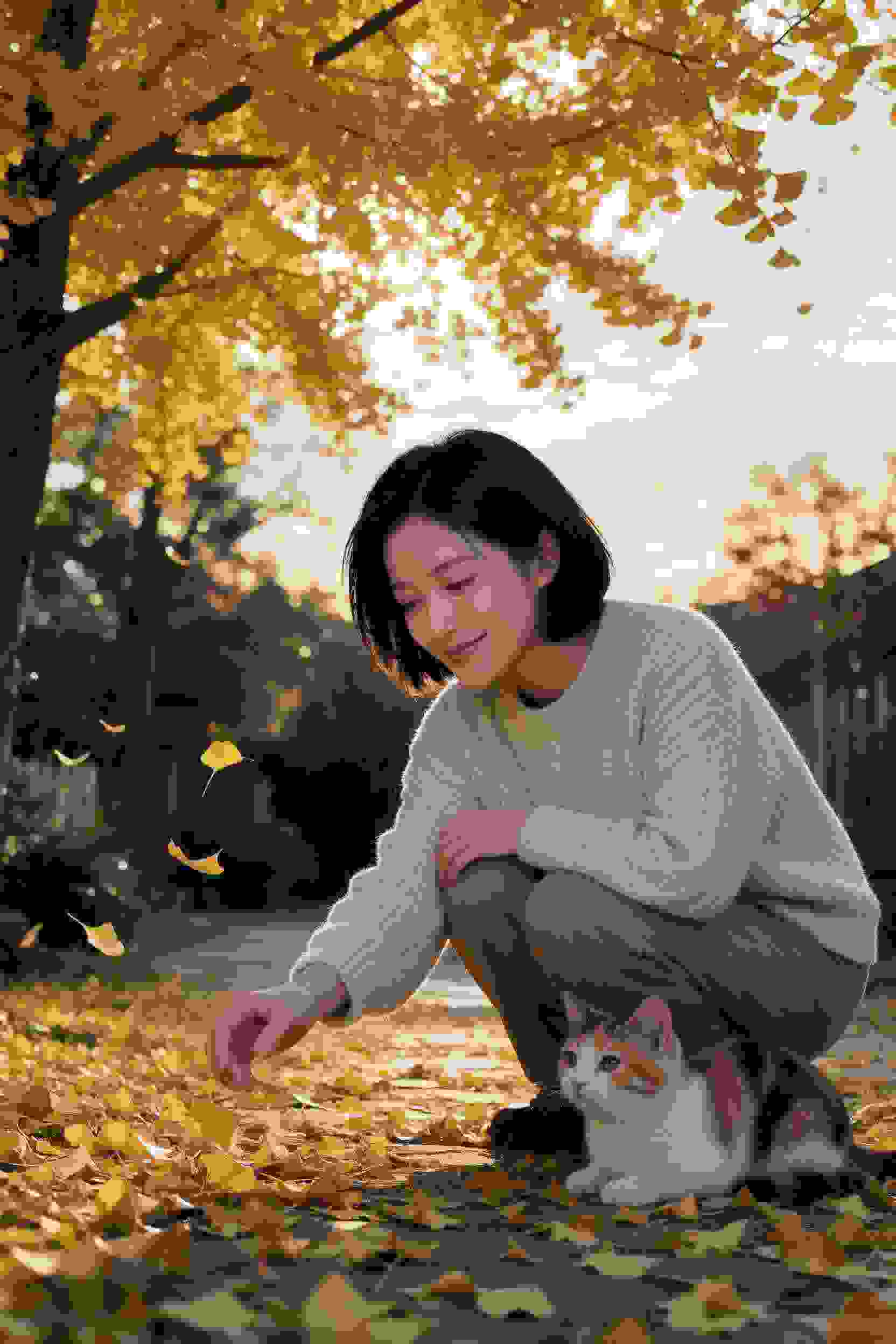 王妃之路